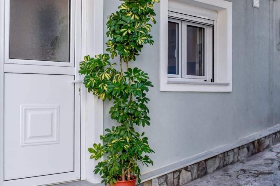 Klaidis House Apartment Skiathos Town Exterior photo